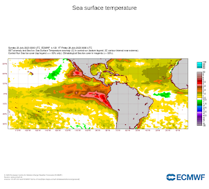 ATSM ECMWF