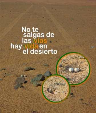 Vida en el desierto U4x4A